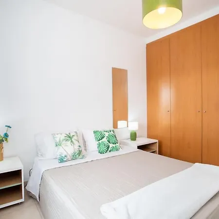 Borboletas Loft